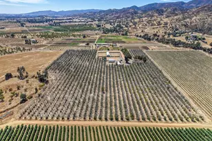 7100 County Rd 49, Guinda, CA 95637 - Photo 35