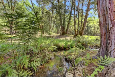 12708 Sierra Vista Drive, Grass Valley, CA 95945 - Photo 81