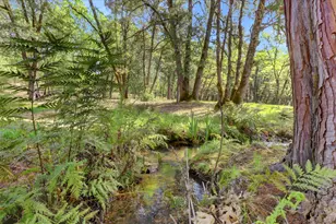 12708 Sierra Vista Dr, Grass Valley, CA 95945 - Photo 81