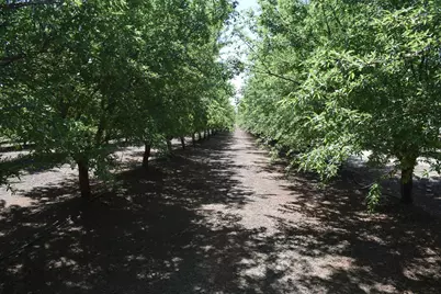 6547 County Road 48, Willows, CA 95988 - Photo 11
