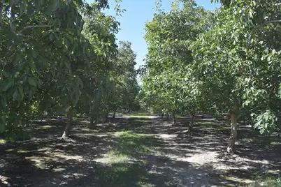 3669 County Road U, Orland, CA 95963 - Photo 75