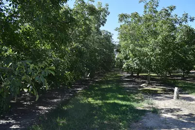 3669 County Road U, Orland, CA 95963 - Photo 73
