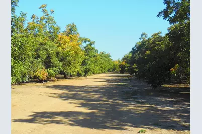 0 Clark Road, Live Oak, CA 95953 - Photo 15