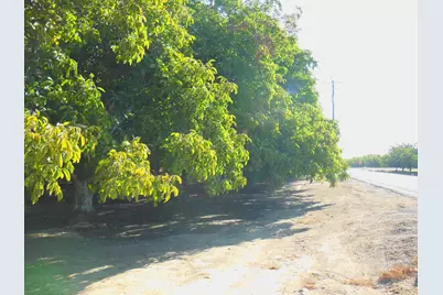 0 Clark Road, Live Oak, CA 95953 - Photo 5