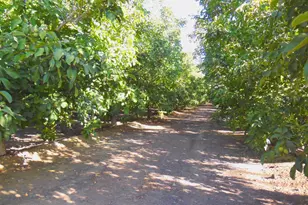 0 Clark Rd, Live Oak, CA 95953 - Photo 1