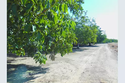 0 Clark Road, Live Oak, CA 95953 - Photo 13