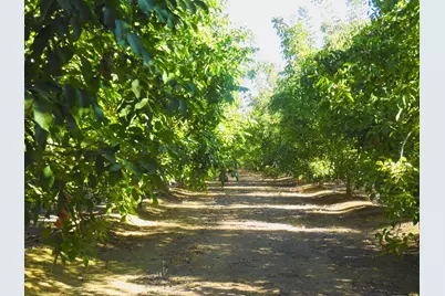0 Clark Road, Live Oak, CA 95953 - Photo 9