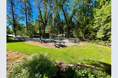 517 Forest Meadows Drive, Murphys, CA 95247 - Photo 63