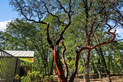 14125 Honeysuckle Way, Nevada City, CA 95959 - Photo 51
