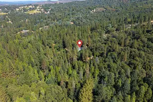 8161 Boondock Trail, Somerset, CA 95684 - Photo 81