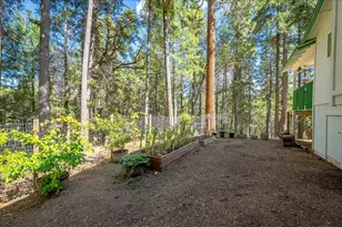 3012 Small Claims Pl, Georgetown, CA 95634 - Photo 39