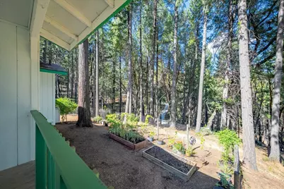 3012 Small Claims Place, Georgetown, CA 95634 - Photo 37