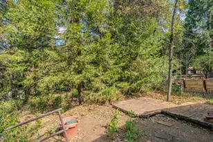 Prospect Pl, Pioneer, CA 95666 - Photo 43
