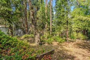 Prospect Pl, Pioneer, CA 95666 - Photo 45