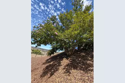 1465 Terracina, El Dorado Hills, CA 95762 - Photo 39