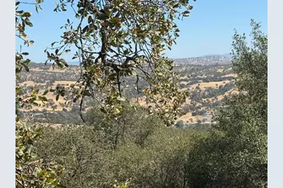 4649 Bayview Drive, Copperopolis, CA 95228 - Photo 9