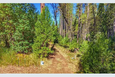 13492 Gracie Road, Nevada City, CA 95959 - Photo 1