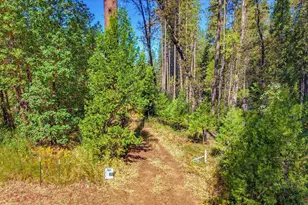 13492 Gracie Rd, Nevada City, CA 95959 - Photo 1