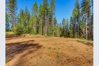 13492 Gracie Road, Nevada City, CA 95959 - Photo 7