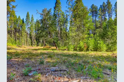 13492 Gracie Road, Nevada City, CA 95959 - Photo 9