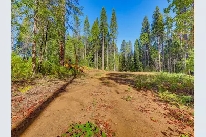 13492 Gracie Road, Nevada City, CA 95959 - Photo 5