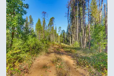 13492 Gracie Road, Nevada City, CA 95959 - Photo 3