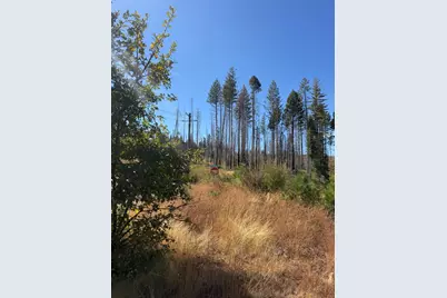 5124 Golden Aspen, Grizzly Flats, CA 95636 - Photo 3