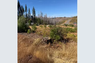 5124 Golden Aspen, Grizzly Flats, CA 95636 - Photo 1