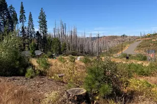 5124 Golden Aspen, Grizzly Flats, CA 95636 - Photo 1