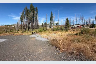 5132 Golden Aspen, Grizzly Flats, CA 95636 - Photo 3