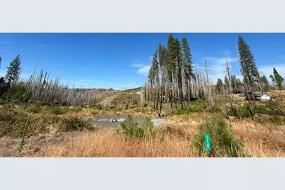 5132 Golden Aspen, Grizzly Flats, CA 95636 - Photo 1
