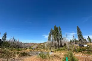 5132 Golden Aspen, Grizzly Flats, CA 95636 - Photo 1