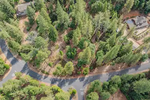 14251 Pine Park Loop, Pine Grove, CA 95665 - Photo 83