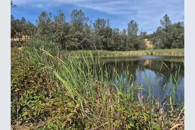 16791 Harmony Hills Way, Grass Valley, CA 95949 - Photo 15