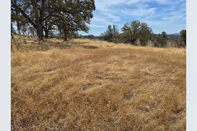 16791 Harmony Hills Way, Grass Valley, CA 95949 - Photo 7