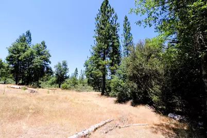 1402 Meredith Lane, Rail Road Flat, CA 95248 - Photo 43