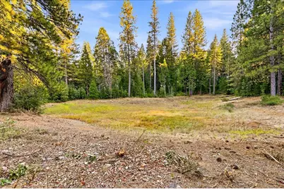 14855 Red Dog Road, Nevada City, CA 95959 - Photo 85