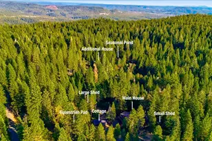 14855 Red Dog Rd, Nevada City, CA 95959 - Photo 93