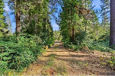 14855 Red Dog Road, Nevada City, CA 95959 - Photo 91