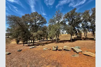 133 Palisades Place, Copperopolis, CA 95228 - Photo 45
