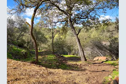 0 Lorrain Street, Shingle Springs, CA 95682 - Photo 5