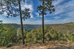 921 Oak Terrace Rd, Placerville, CA 95667 - Photo 25