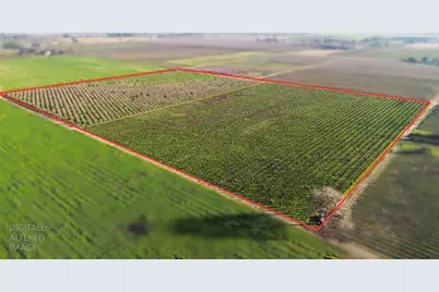 0 Locust Tree Road, Lodi, CA 95240 - Photo 5