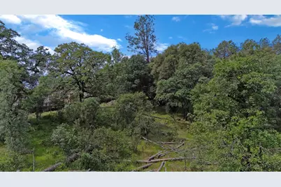 10599 Linton Lane, Grass Valley, CA 95949 - Photo 9