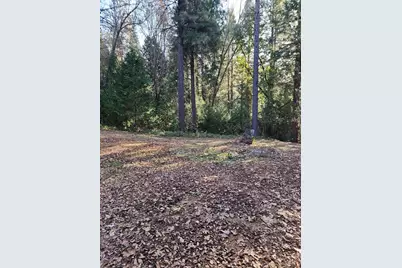 9246 La Porte Road, Brownsville, CA 95919 - Photo 5