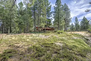 2590 Christmas Tree Ln, Georgetown, CA 95634 - Photo 73