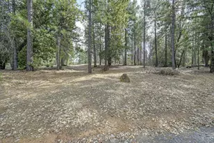 2590 Christmas Tree Ln, Georgetown, CA 95634 - Photo 67