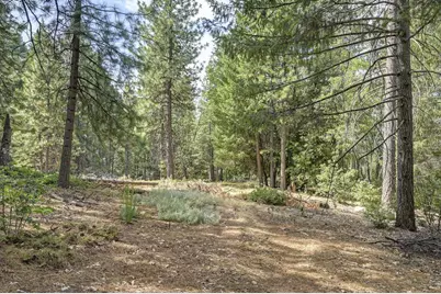 2590 Christmas Tree Lane, Georgetown, CA 95634 - Photo 71