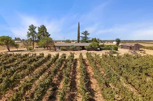 16885 Brandt Rd, Lodi, CA 95240 - Photo 3