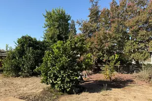 213 Hilton St, Madera, CA 93637 - Photo 43